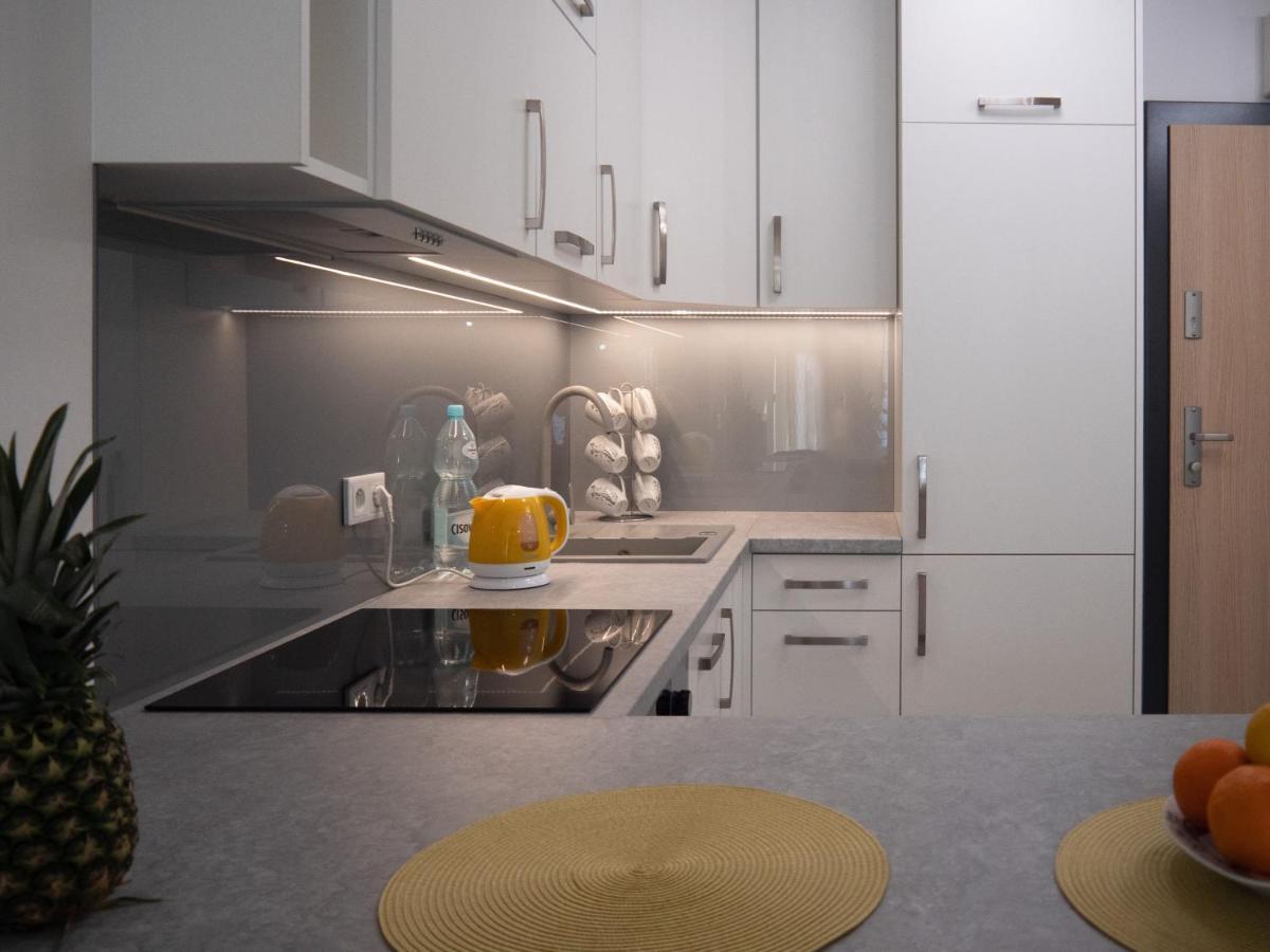 Przytulny Apartament Z Ogrodkiem Kraków Exteriör bild
